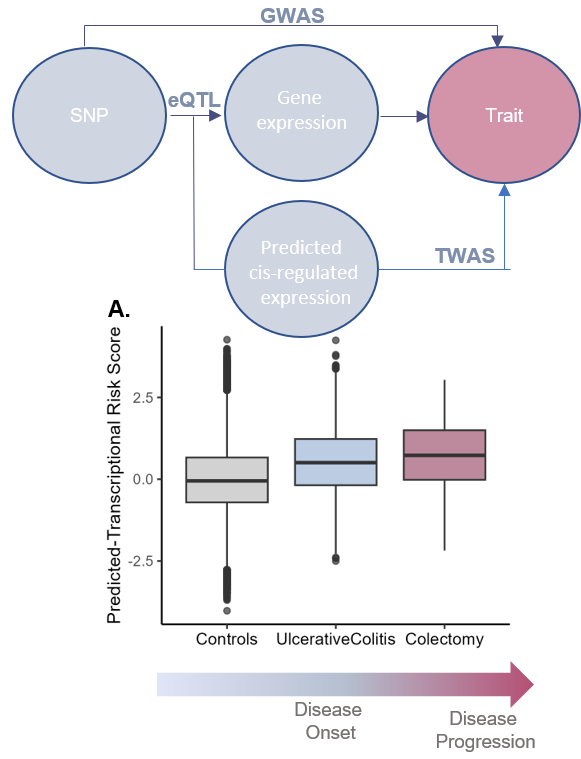 Integrative genomics research